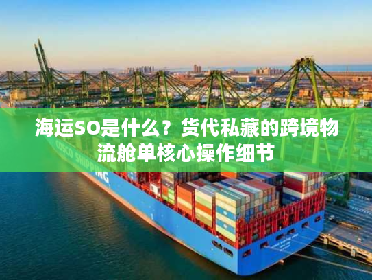 海运SO是什么？货代私藏的跨境物流舱单核心操作细节