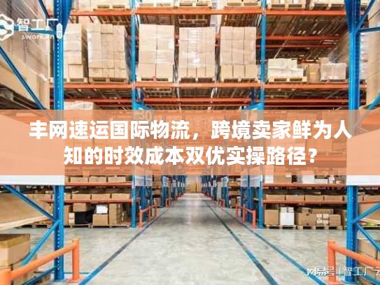 丰网速运国际物流，跨境卖家鲜为人知的时效成本双优实操路径？