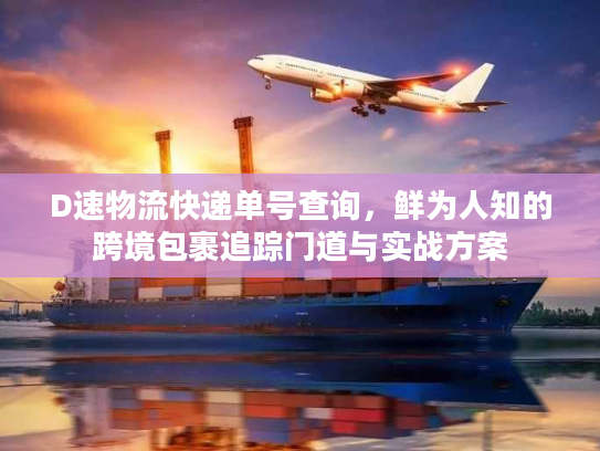 D速物流快递单号查询，鲜为人知的跨境包裹追踪门道与实战方案