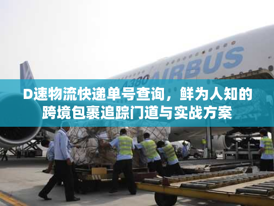 D速物流快递单号查询，鲜为人知的跨境包裹追踪门道与实战方案