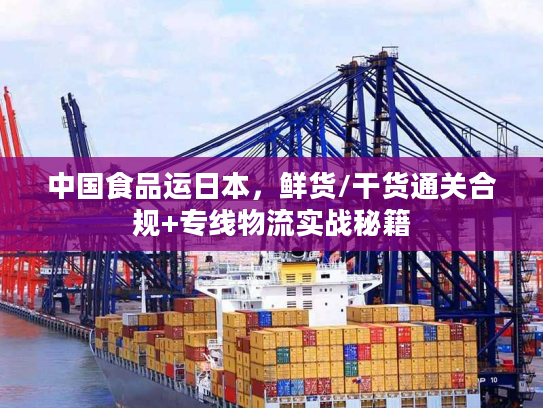 中国食品运日本，鲜货/干货通关合规+专线物流实战秘籍