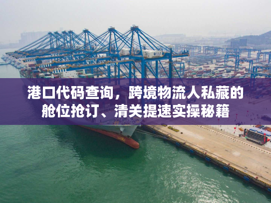 港口代码查询，跨境物流人私藏的舱位抢订、清关提速实操秘籍