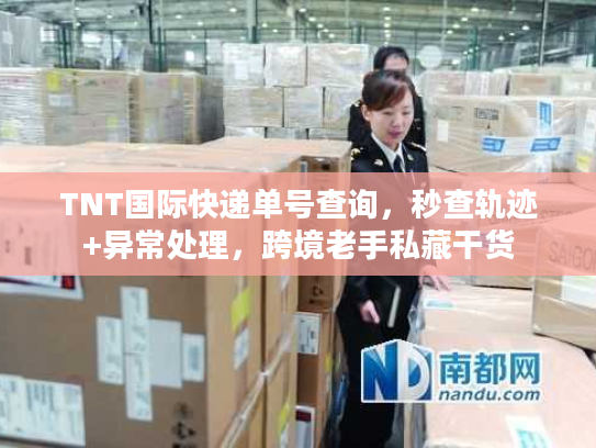 TNT国际快递单号查询，秒查轨迹+异常处理，跨境老手私藏干货