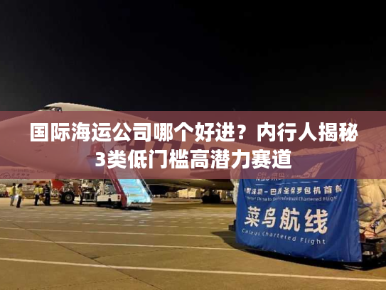 国际海运公司哪个好进？内行人揭秘3类低门槛高潜力赛道