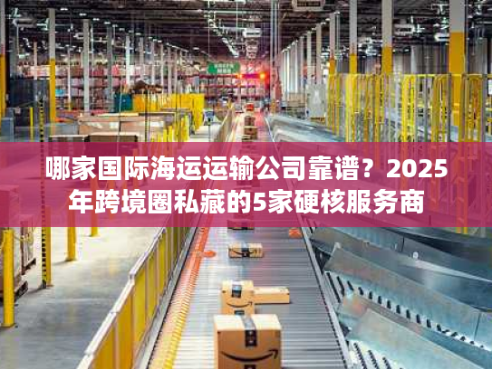 哪家国际海运运输公司靠谱？2025年跨境圈私藏的5家硬核服务商
