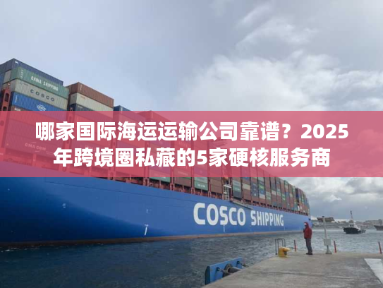 哪家国际海运运输公司靠谱？2025年跨境圈私藏的5家硬核服务商