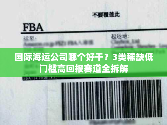 国际海运公司哪个好干？3类稀缺低门槛高回报赛道全拆解