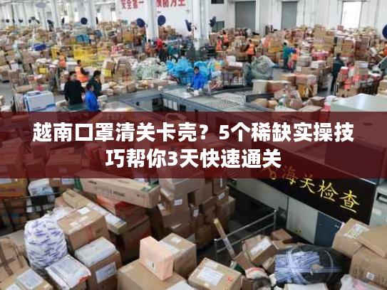 越南口罩清关卡壳？5个稀缺实操技巧帮你3天快速通关