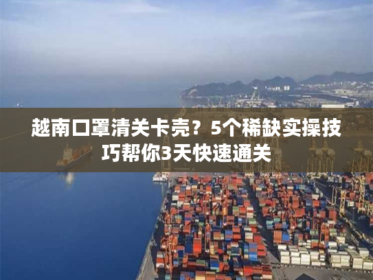 越南口罩清关卡壳？5个稀缺实操技巧帮你3天快速通关