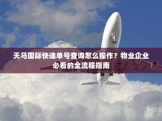 天马国际快递单号查询怎么操作?物业企业必看的全流程指南 天马国际快递单号查询怎么操作?物业企业必看的全流程指南