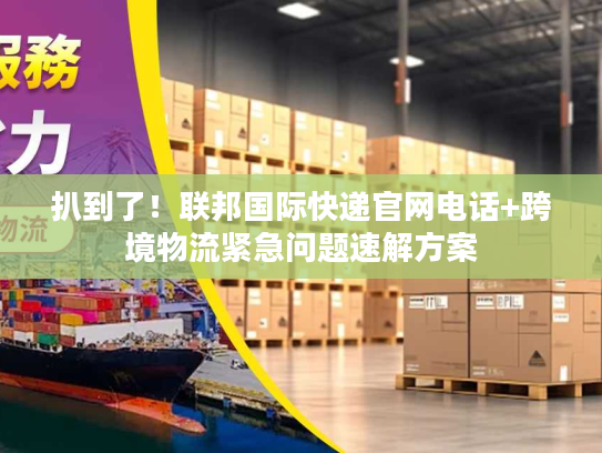 扒到了！联邦国际快递官网电话+跨境物流紧急问题速解方案