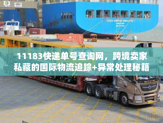 11183快递单号查询网，跨境卖家私藏的国际物流追踪+异常处理秘籍