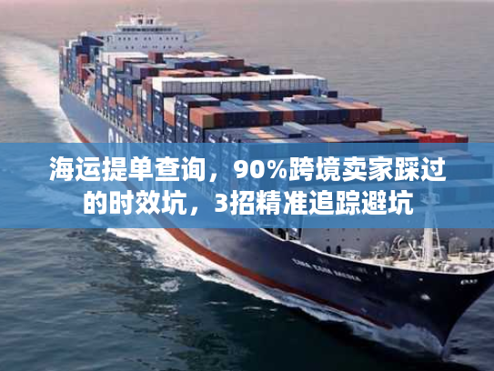 海运提单查询，90%跨境卖家踩过的时效坑，3招精准追踪避坑
