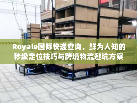 Royale国际快递查询，鲜为人知的秒级定位技巧与跨境物流避坑方案