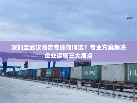 深圳至武汉物流专线如何选?专业方案解决企业运输三大痛点 深圳至武汉物流专线如何选?专业方案解决企业运输三大痛点