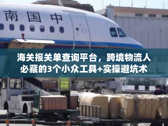 海关报关单查询平台，跨境物流人必藏的3个小众工具+实操避坑术
