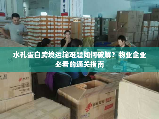 水孔蛋白跨境运输难题如何破解？物业企业必看的通关指南