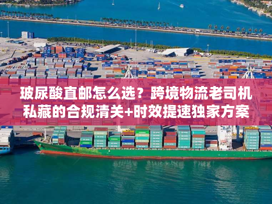 玻尿酸直邮怎么选？跨境物流老司机私藏的合规清关+时效提速独家方案