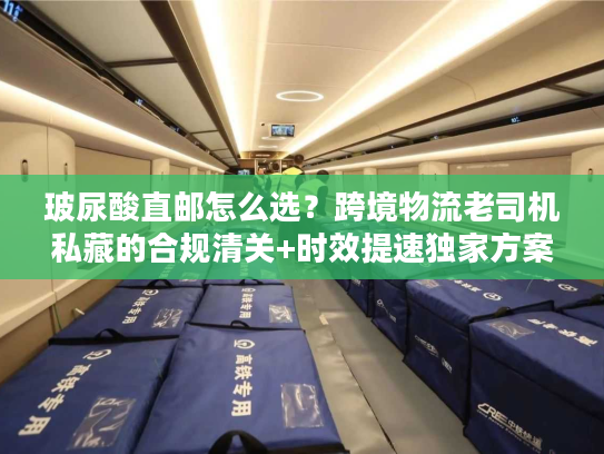 玻尿酸直邮怎么选？跨境物流老司机私藏的合规清关+时效提速独家方案