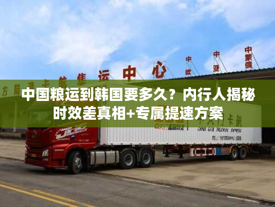 中国粮运到韩国要多久?内行人揭秘时效差真相+专属提速方案 中国粮运到韩国要多久?内行人揭秘时效差真相+专属提速方案