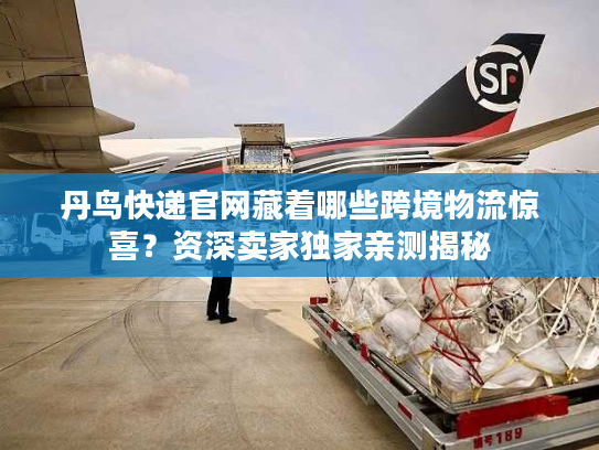 丹鸟快递官网藏着哪些跨境物流惊喜？资深卖家独家亲测揭秘