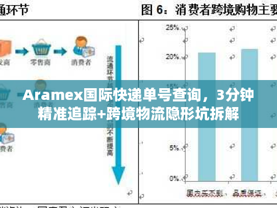 Aramex国际快递单号查询，3分钟精准追踪+跨境物流隐形坑拆解