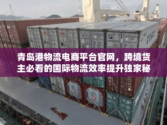 青岛港物流电商平台官网，跨境货主必看的国际物流效率提升独家秘籍