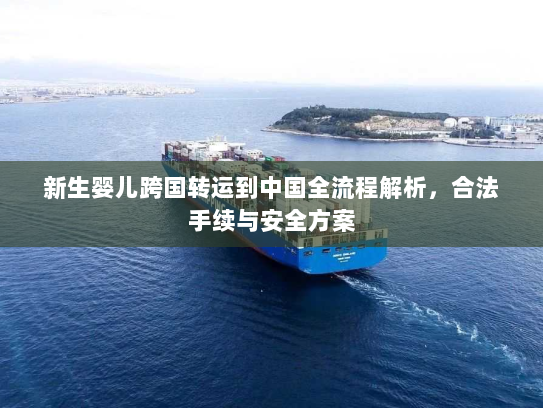 新生婴儿跨国转运到中国全流程解析,合法手续与安全方案 新生婴儿跨国转运到中国全流程解析,合法手续与安全方案
