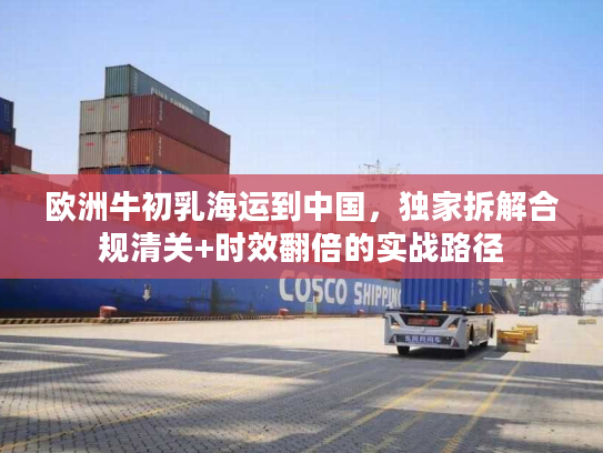 欧洲牛初乳海运到中国，独家拆解合规清关+时效翻倍的实战路径