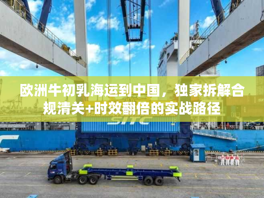 欧洲牛初乳海运到中国，独家拆解合规清关+时效翻倍的实战路径