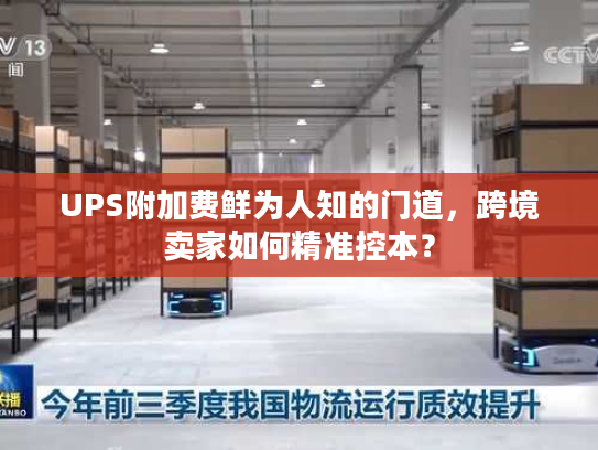 UPS附加费鲜为人知的门道,跨境卖家如何精准控本? UPS附加费鲜为人知的门道,跨境卖家如何精准控本?