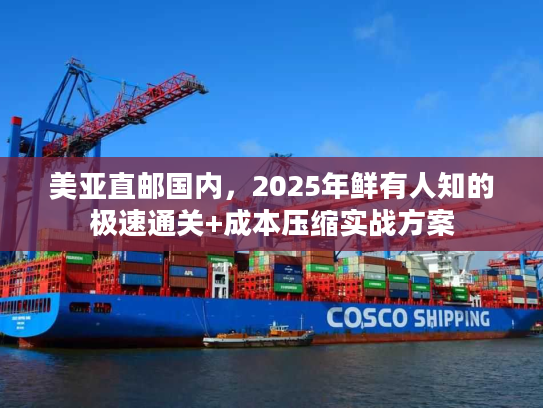 美亚直邮国内,2025年鲜有人知的极速通关+成本压缩实战方案 美亚直邮国内,2025年鲜有人知的极速通关+成本压缩实战方案