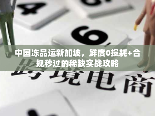 中国冻品运新加坡,鲜度0损耗+合规秒过的稀缺实战攻略 中国冻品运新加坡,鲜度0损耗+合规秒过的稀缺实战攻略