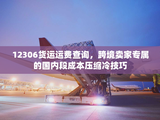 12306货运运费查询，跨境卖家专属的国内段成本压缩冷技巧