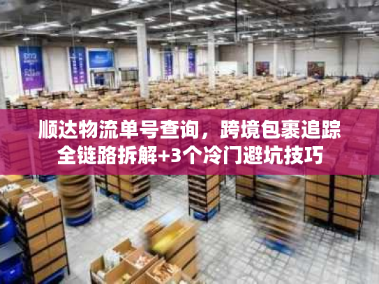 顺达物流单号查询，跨境包裹追踪全链路拆解+3个冷门避坑技巧