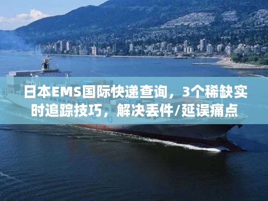 日本EMS国际快递查询，3个稀缺实时追踪技巧，解决丢件/延误痛点