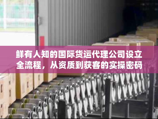 鲜有人知的国际货运代理公司设立全流程，从资质到获客的实操密码