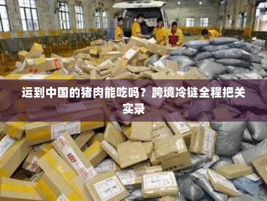 运到中国的猪肉能吃吗？跨境冷链全程把关实录