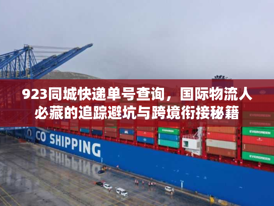 923同城快递单号查询，国际物流人必藏的追踪避坑与跨境衔接秘籍