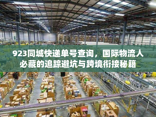 923同城快递单号查询，国际物流人必藏的追踪避坑与跨境衔接秘籍