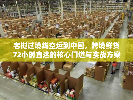 老挝过境线空运到中国，跨境鲜货72小时直达的核心门道与实战方案