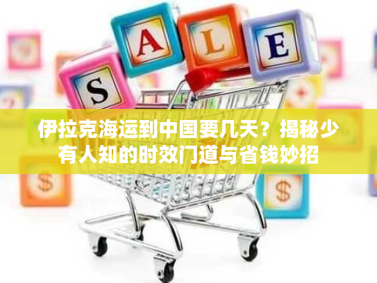 伊拉克海运到中国要几天？揭秘少有人知的时效门道与省钱妙招
