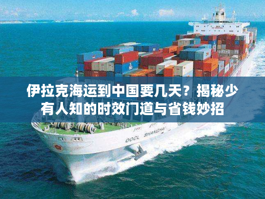 伊拉克海运到中国要几天？揭秘少有人知的时效门道与省钱妙招