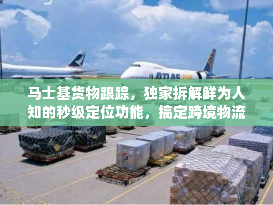 马士基货物跟踪，独家拆解鲜为人知的秒级定位功能，搞定跨境物流时效焦虑