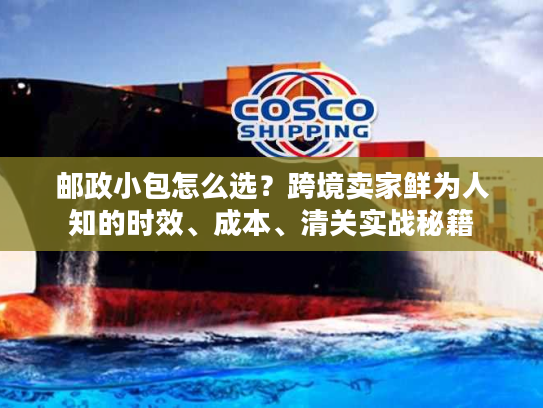 邮政小包怎么选？跨境卖家鲜为人知的时效、成本、清关实战秘籍