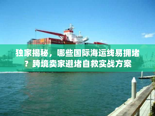 独家揭秘,哪些国际海运线易拥堵?跨境卖家避堵自救实战方案 独家揭秘,哪些国际海运线易拥堵?跨境卖家避堵自救实战方案