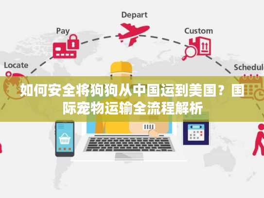 如何安全将狗狗从中国运到美国?国际宠物运输全流程解析 如何安全将狗狗从中国运到美国?国际宠物运输全流程解析