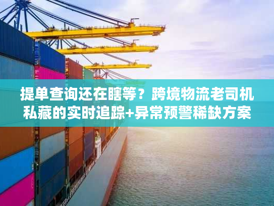 提单查询还在瞎等？跨境物流老司机私藏的实时追踪+异常预警稀缺方案