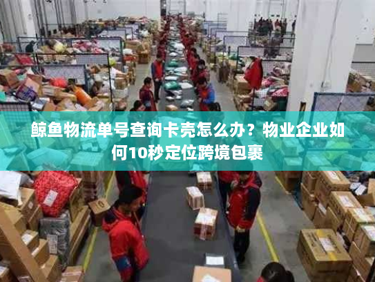 鲸鱼物流单号查询卡壳怎么办?物业企业如何10秒定位跨境包裹 鲸鱼物流单号查询卡壳怎么办?物业企业如何10秒定位跨境包裹
