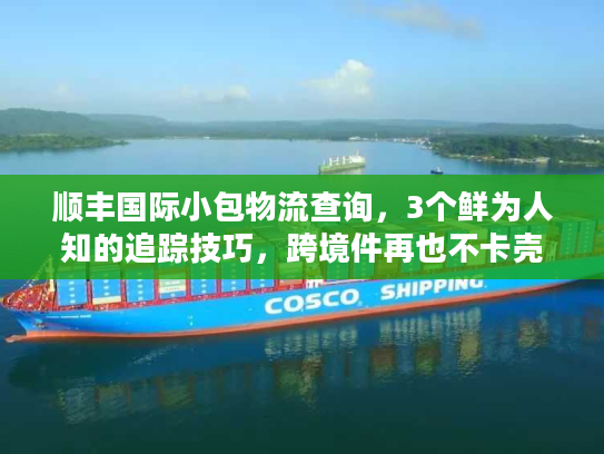 顺丰国际小包物流查询，3个鲜为人知的追踪技巧，跨境件再也不卡壳
